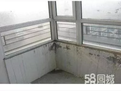 阳台/窗户/飘窗防水