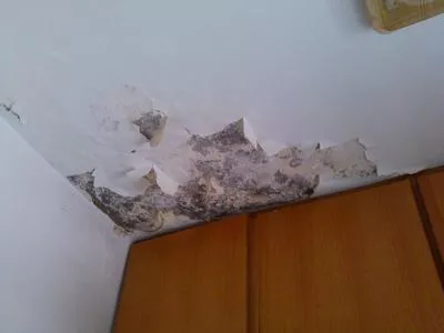 屋顶防水